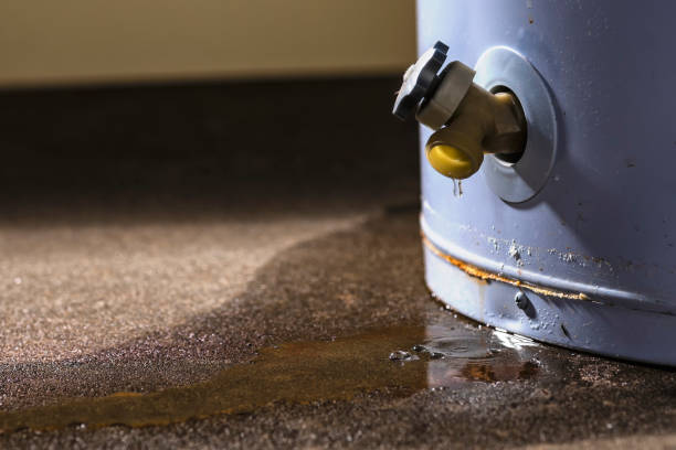 Best Emergency water damage restoration  in Hawkinsville, GA
