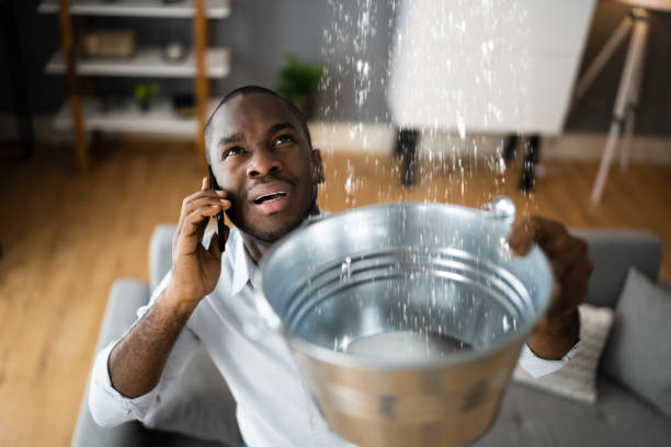 Best Ceiling water damage repair  in Hawkinsville, GA