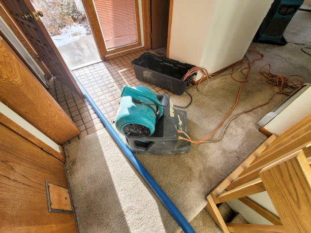 Best Flooded house restoration  in Hawkinsville, GA