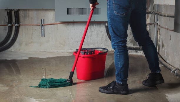 Best Water damage cleanup near me  in Hawkinsville, GA