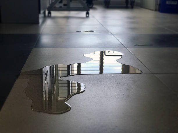 Best Water damage restoration services  in Hawkinsville, GA