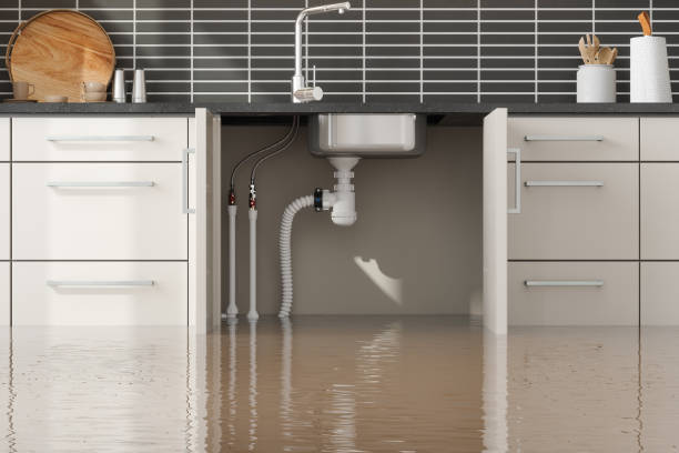 Best Residential water damage restoration  in Hawkinsville, GA